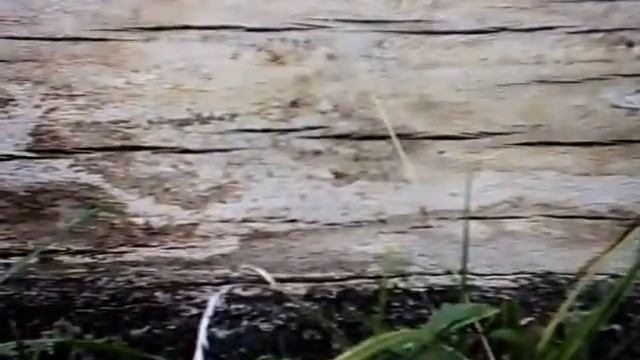 Very fast rc car смотреть онлайн