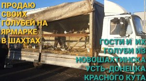 🕊🕊🕊Продаю своих голубей на ярмарке в г.Шахты. Гости из Новошахтинска, Усть-Донецка, Красного Кута