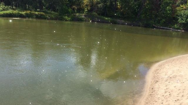 Восточный фронт. Глава 13.Текучка смотреть онлайн