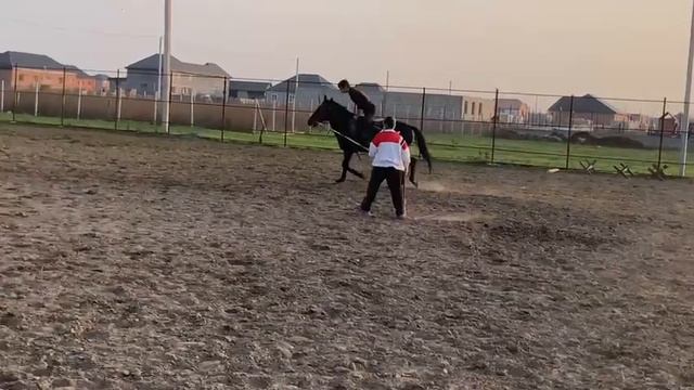 ОБУЧАЕМ ДЖИГИТОВКЕ смотреть онлайн