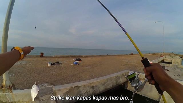 Mancing di waktu SUNRISE‼️ umpan udang hidup || Strike giant trevally смотреть онлайн