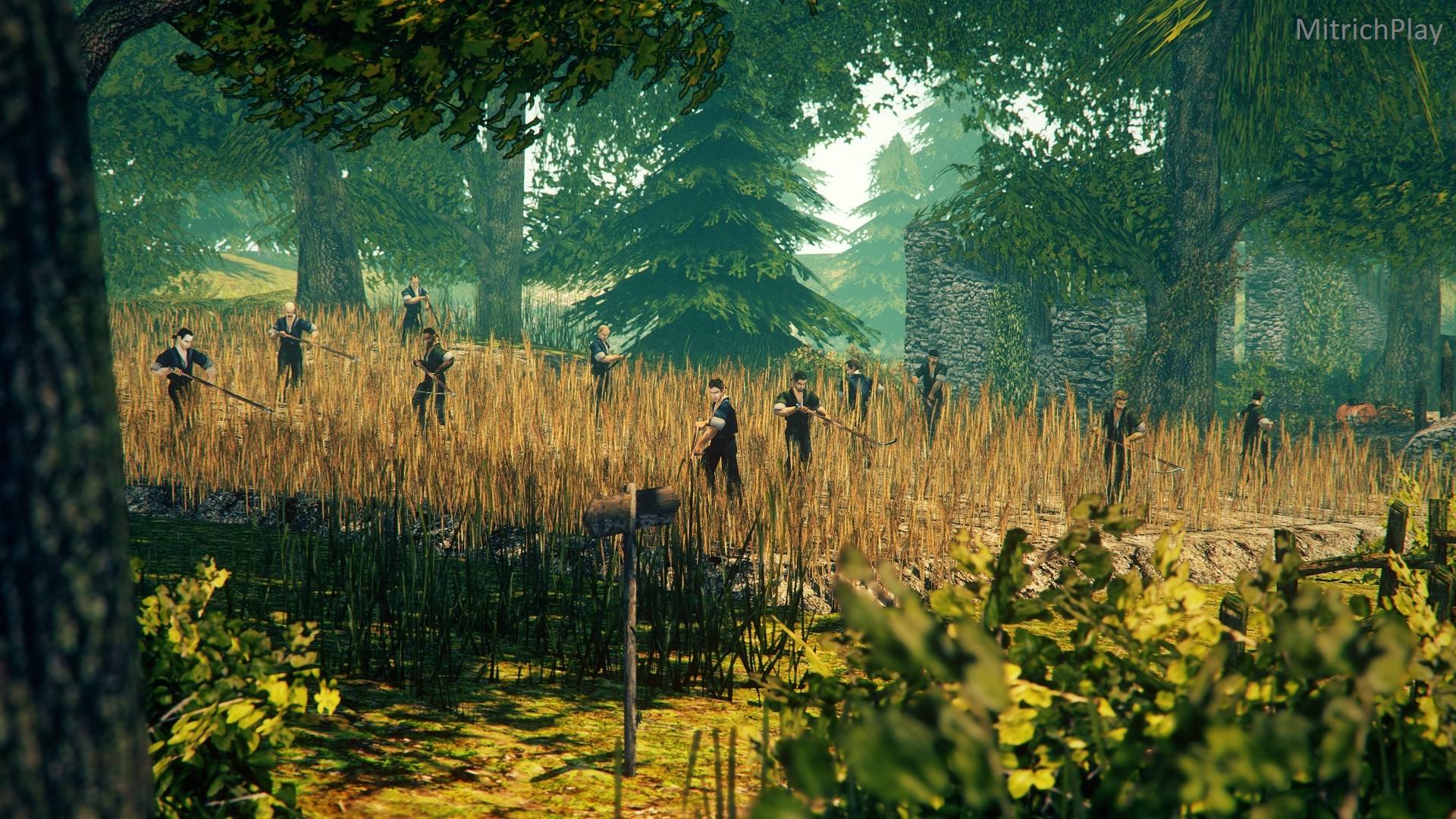 По следу Йорна ⯈ The Chronicles Of Myrtana - Archolos #05 смотреть онлайн