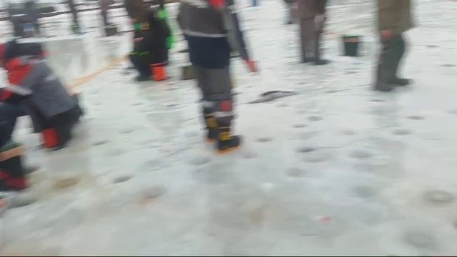 WhatsApp Video 2025-01-11 at 10.22.00 смотреть онлайн