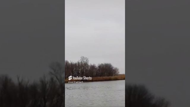 станица Елизаветинская смотреть онлайн