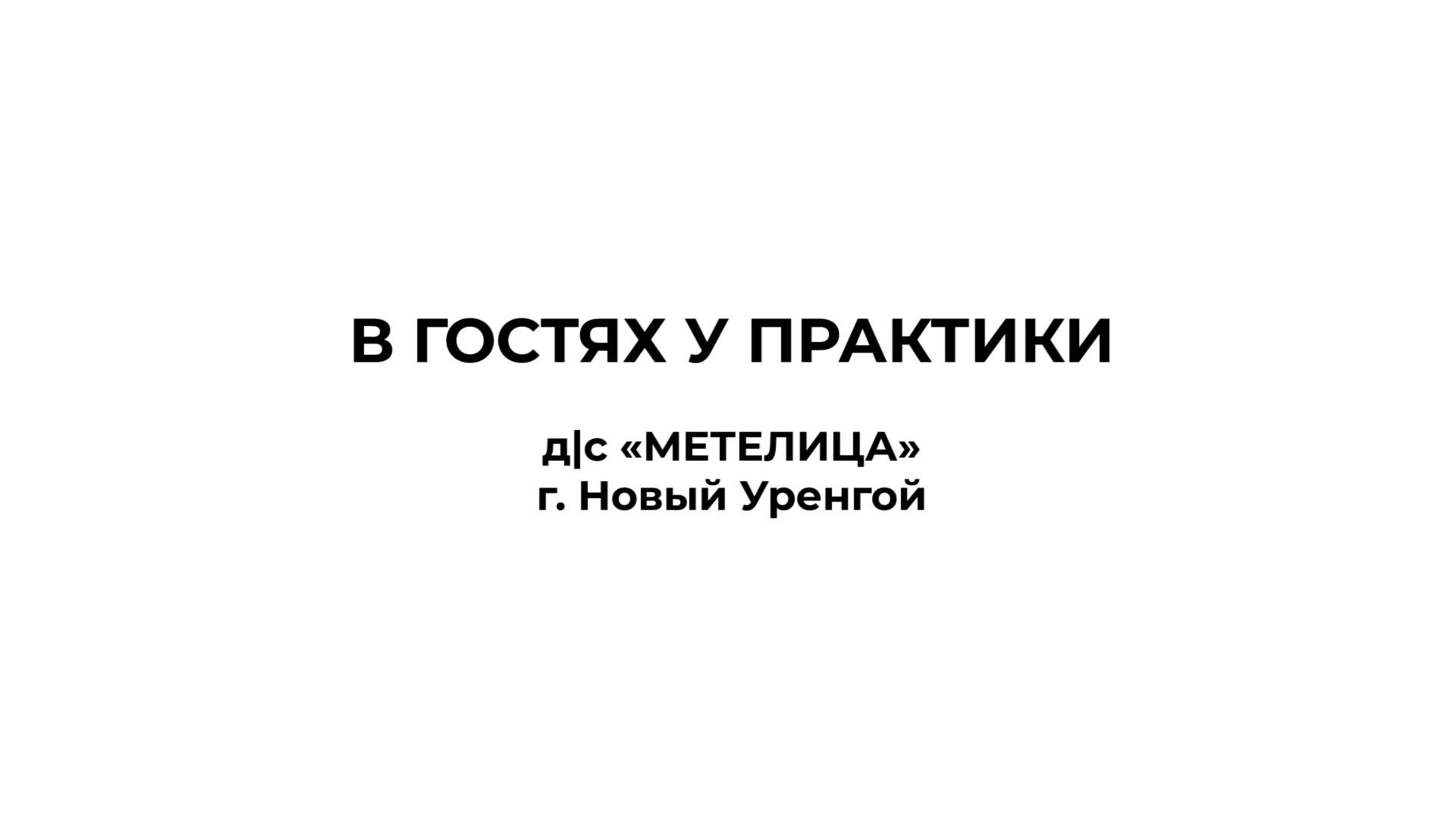 ДС МЕТЕЛИЦА