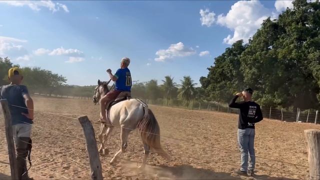 KAMYLINHA E RAY ANDANDO DE CAVALO E PEDRO FICOU DE LADO 😱 смотреть онлайн