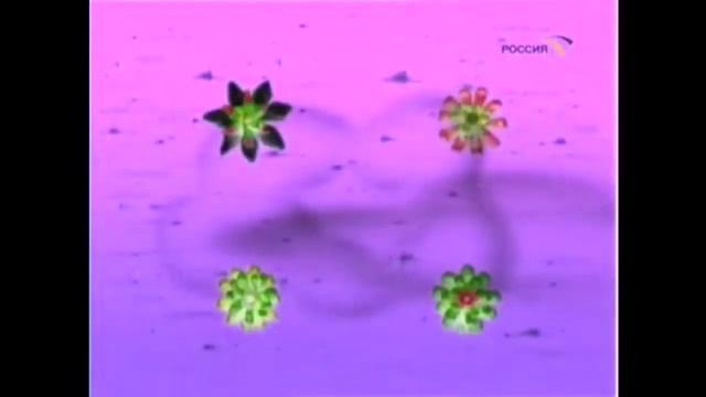 спят усталые игрушки horror version смотреть онлайн