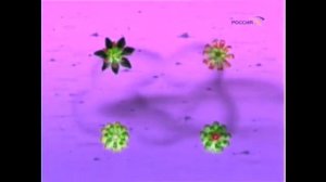 спят усталые игрушки horror version