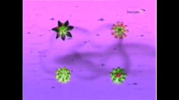 спят усталые игрушки horror version