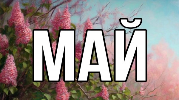 it's my life • Май 2024