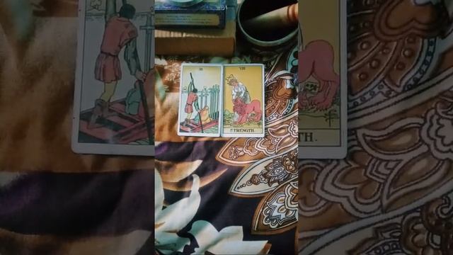 ❣️TAROT CARD LIVE READING 💕LOVE 😍 CARRIER AND HEALTH GUIDANCE❣️HEALING❣️FREE 💕PAID 151RS OR 10$€ смотреть онлайн