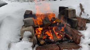 11 января.Сад.