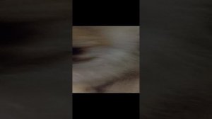 Лилу 1 серия