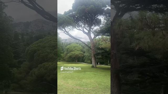 Красота смотреть онлайн