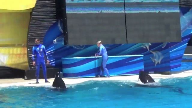 Kasatka, Orkid, Nakai, Kalia - One Ocean Ending (August 2011)