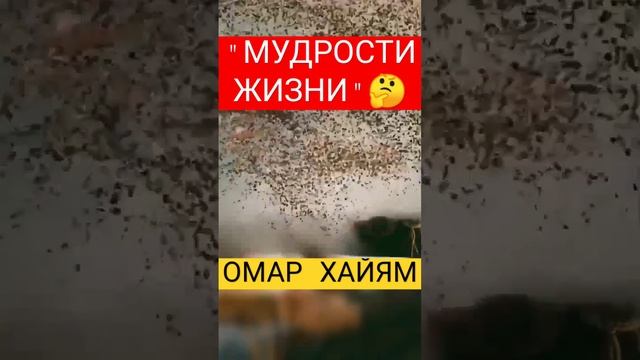 ОМАР ХАЙЯМ "МУДРОСТИ ЖИЗНИ" #shorts #short #притчи смотреть онлайн