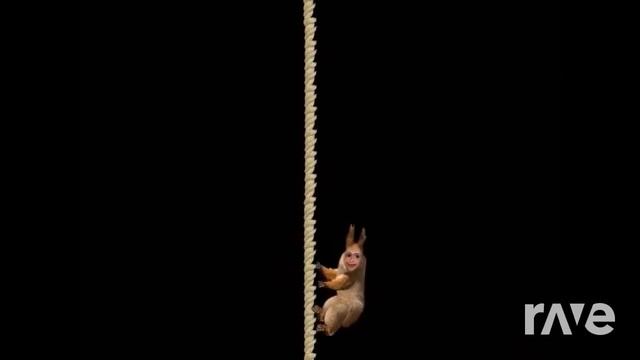 DJ жестик Барбоскины смотреть онлайн