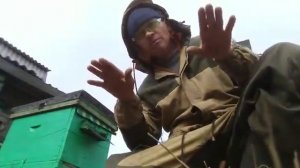 Пчелы-2 от Сергея Гурьянова.