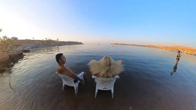 Обзор Море Seti Sharm Resort #Egypt🇪🇬 Sharm El Shaikh #2023 #отпуск #beach #sea #insta360 #sharm