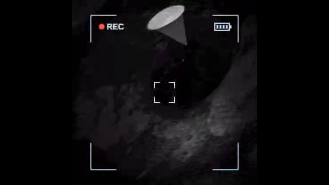 Смешные моменты в  -- Content Warning -- ( часть 14 )