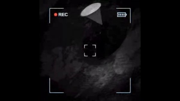 Смешные моменты в -- Content Warning -- ( часть 14 )