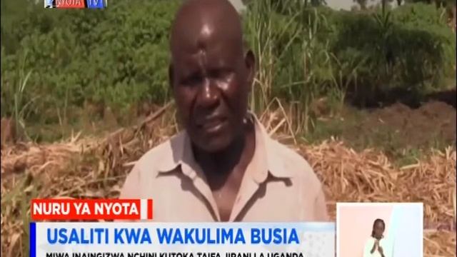 KILIO CHA WAKULIMA WA MIWA BUSIA смотреть онлайн