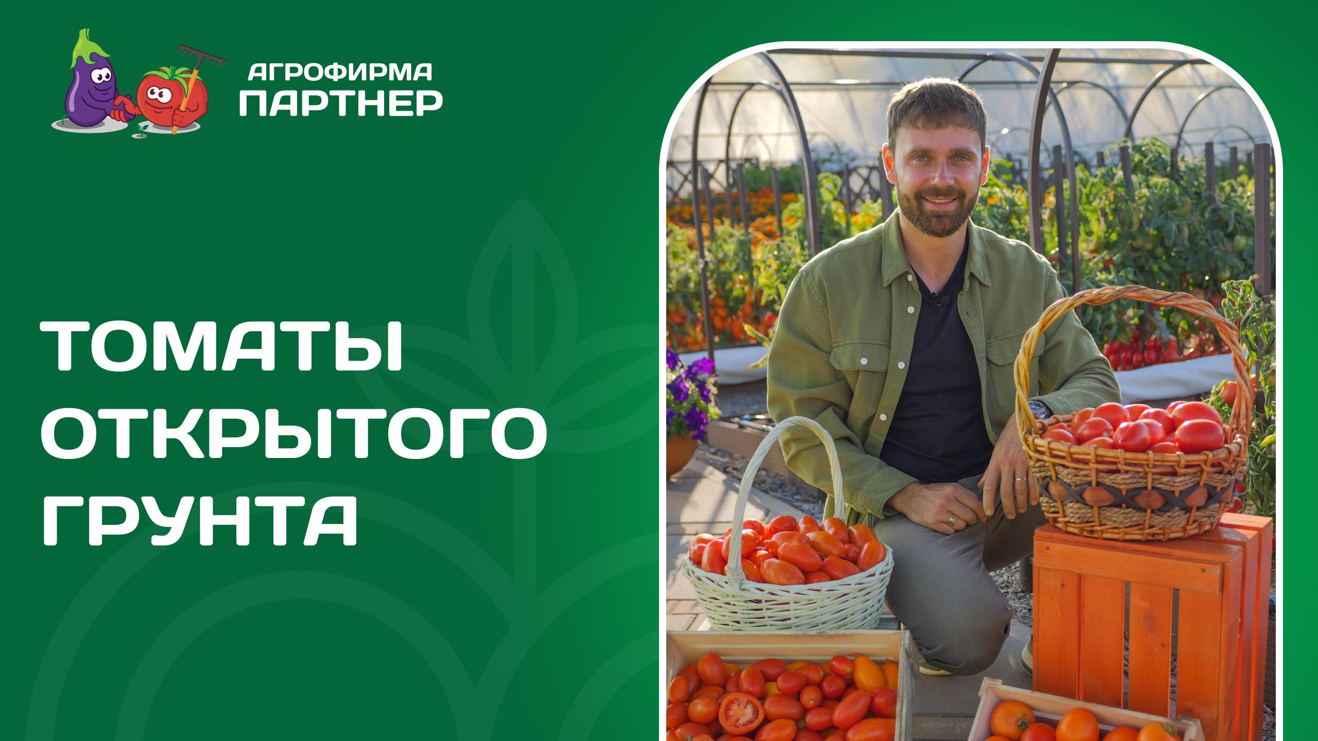 ТОП ТОМАТОВ ДЛЯ ОТКРЫТОГО ГРУНТА 2024 смотреть онлайн