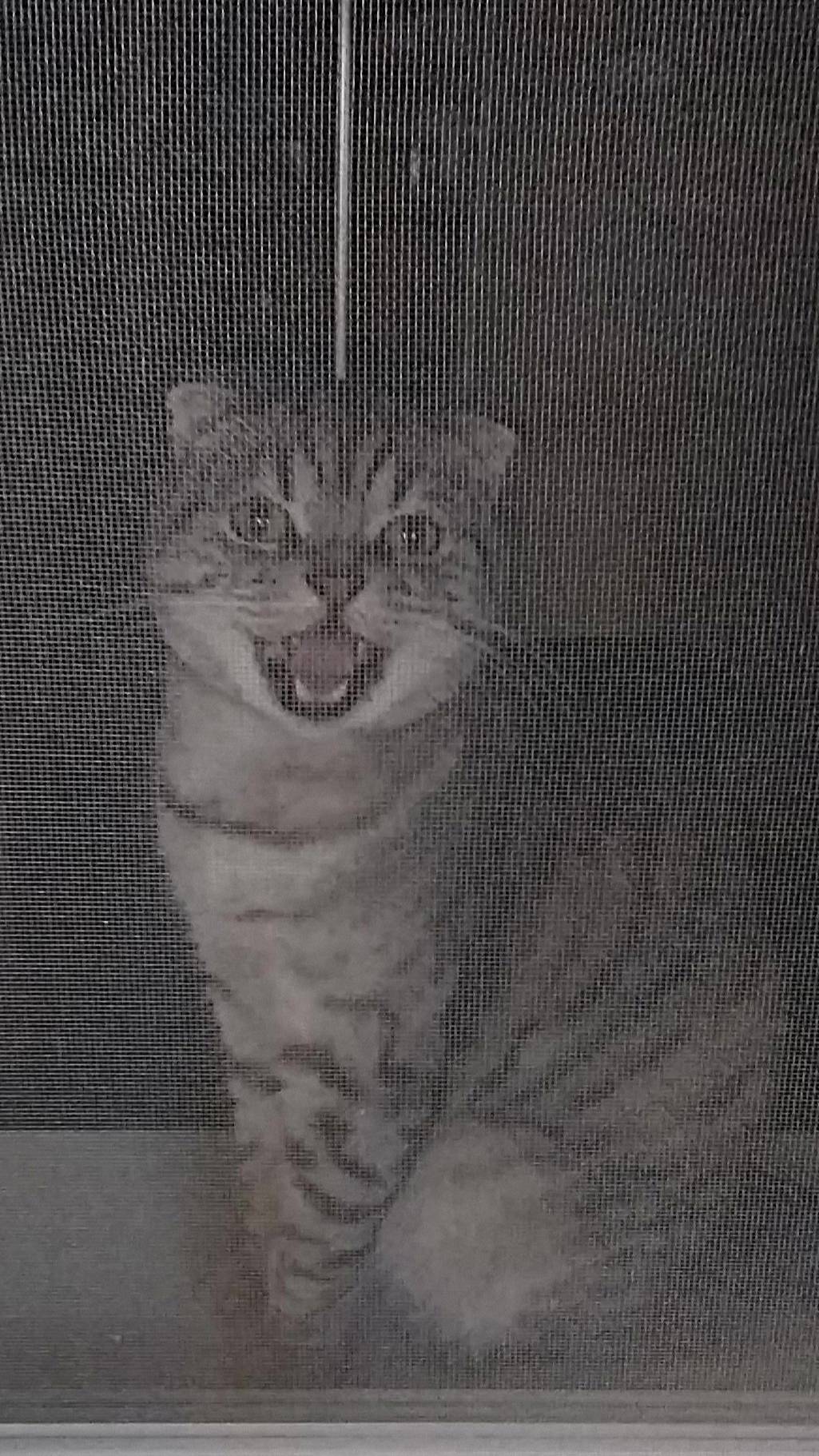 Я тоже Человек смотреть онлайн