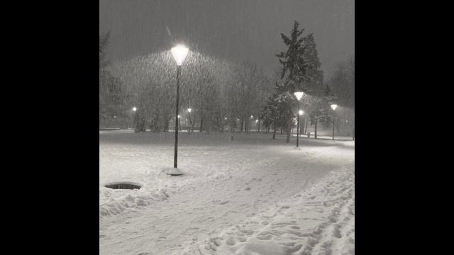 [free For Profit] Emo Plugg Bass+ Type Beat 