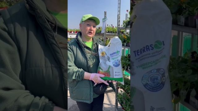 Универсальное удобрение весна-лето «Terrasol» #удобрение #унивесальноеудобрение #весналето #огород смотреть онлайн