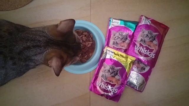 Whiskas смотреть онлайн