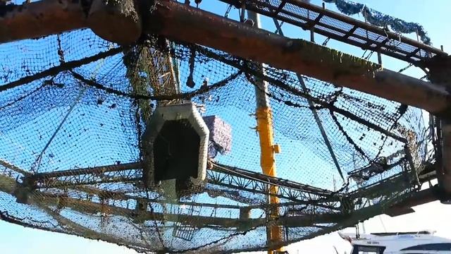 Подьём загона для дельфинов смотреть онлайн