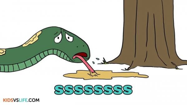 Learning Phonetics: s - Kids vs Phonics