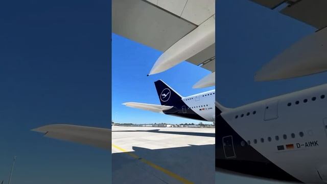 16.mp4 смотреть онлайн