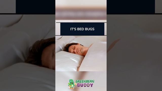 Waking Up With Bites? Watch This смотреть онлайн
