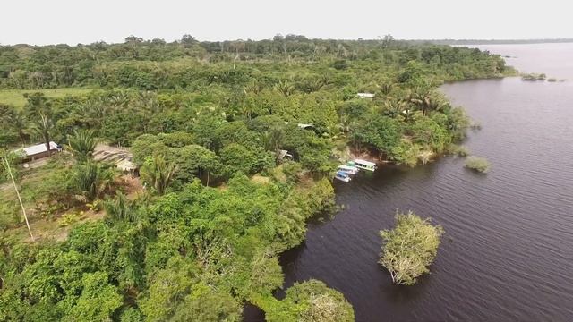 Sabe como é o Trabalho de uma ONG na Amazônia? смотреть онлайн