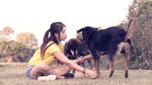 Lovely smart girl Playing Baby Cute Dogs On Rice Fields || How to play with dog In Dog Village #02