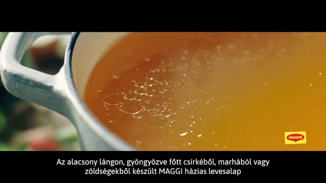 Maggi Házias Levesalapok смотреть онлайн