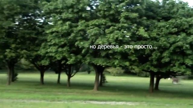 мысли / часть 1 / зелёные парки смотреть онлайн