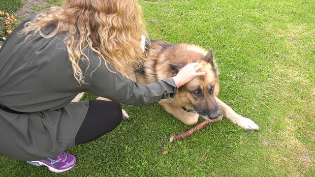 МОЯ ЖИЗНЬ
It's My Life