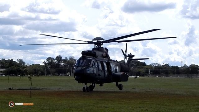 Helicopter Airbus Helicopters H225M Army Take Off Video (EC 725 Cougar) смотреть онлайн