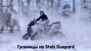 Супер тест Гусениц
