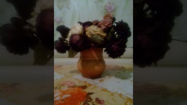 У моей России, зори золотые стихи Н.Мелеховой исп.Ромашка на баяне(2) смотреть онлайн