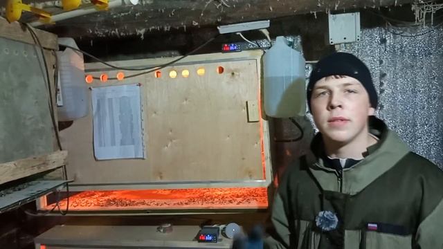 ОБЗОР НА НАШ БРУДЕР НОВОГО ОБРАЗЦА ДЛЯ МОЛОДНЯКА смотреть онлайн