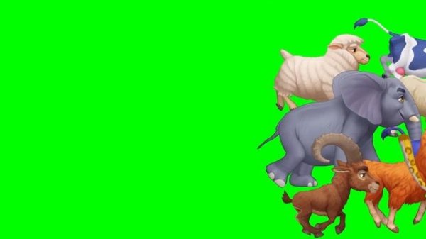 THE STAMPEDE GREEN SCREEN ! #greenscreen @VfxKarki_ @vfxhd @vfxnaveed @GSA @GreenScreenBrasil