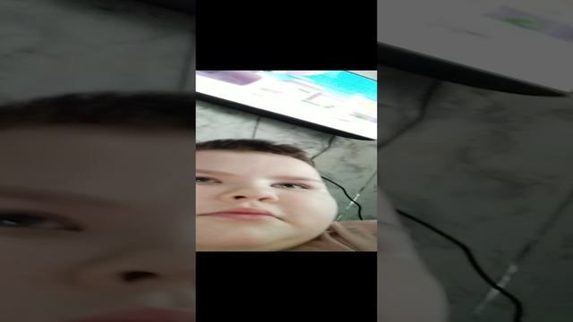 Кладовая пёсика