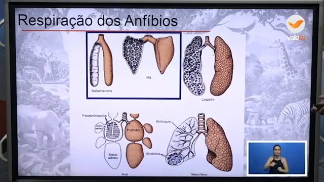 101º DIA - TURMA: 7ºANO CIENCIAS 21 10 20 смотреть онлайн