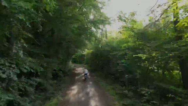 DJI Mini 3 Pro @activeTrack смотреть онлайн