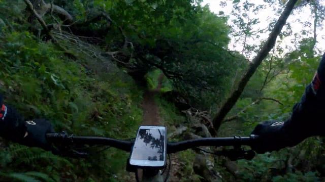 B-17 Trail // Camp Tamarancho // GoPro 8 // Turbo Levo смотреть онлайн