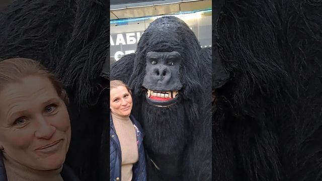 "Кинг-Конг жив". Сочи. смотреть онлайн